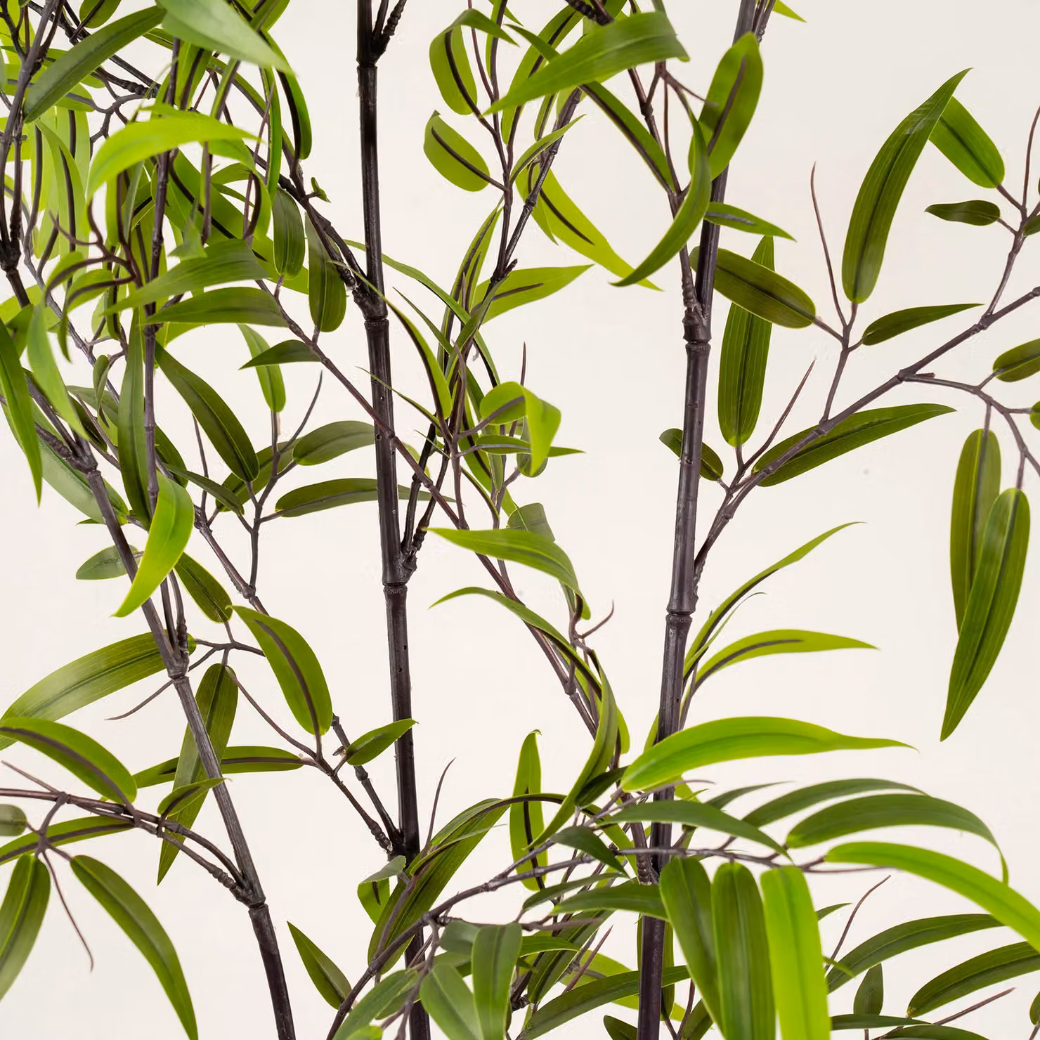 Scottish Everlastings Ltd 190cm Real Touch KD Bamboo Tree in Green and Black – 3