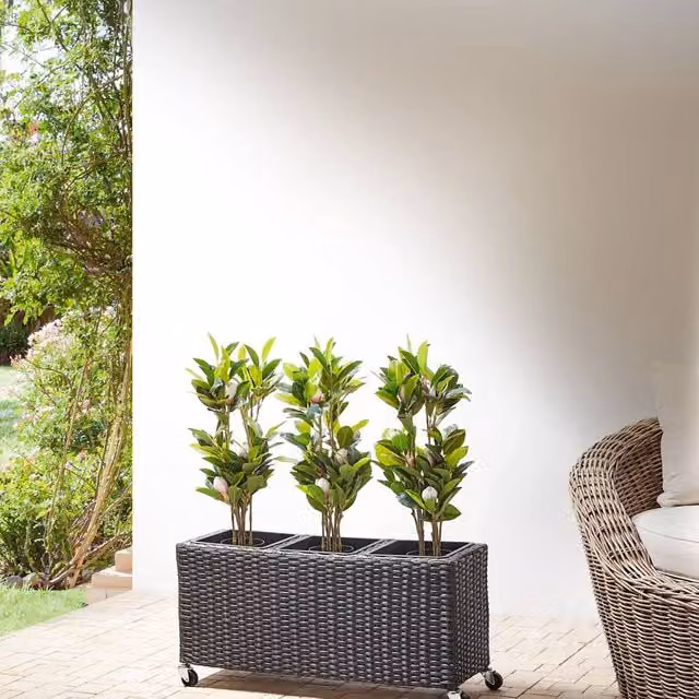 Wyld and Coco Black PE Rattan Wheeled Plant Pot with 3 Removable Inserts