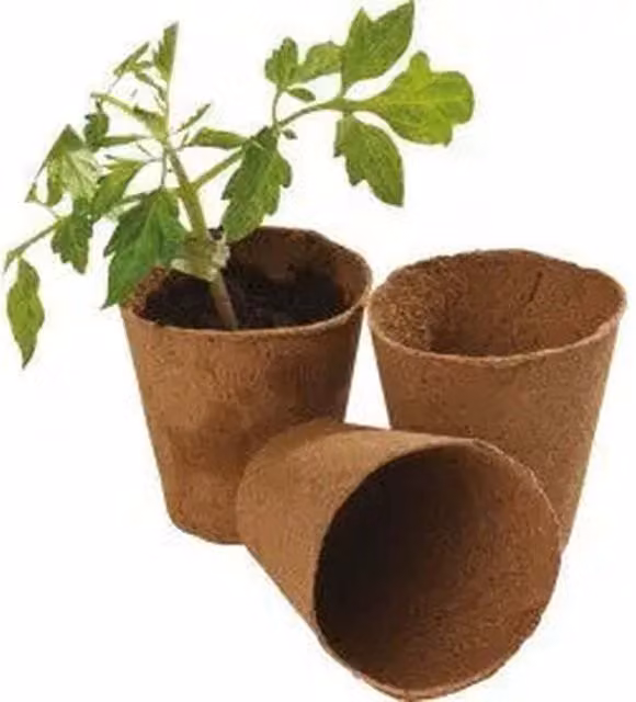 Plants By Post Pack of 12 Round Fibre Seed Starter Pots, Brown/Bronze, Diameter: 8 cm