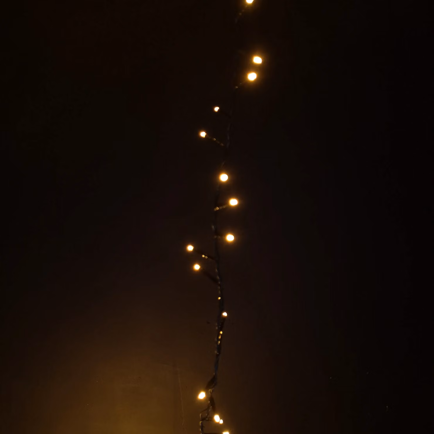 Samuel Alexander 1000 LED TreeBrights Christmas String Lights with Timer, 25m, Warm White in Gold/Brass – 2