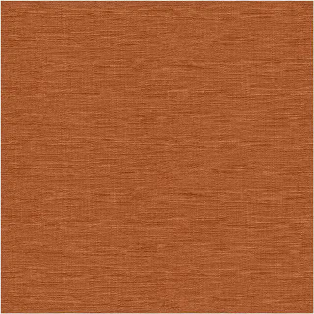 Superfresco Easy Amour Terra Orange Plain Textured Wallpaper, Width: 52 cm