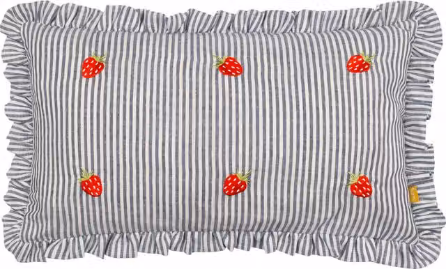 Make It A Home Les Fruites Striped Ruffle Cushion in Blue and Multicolour with Feather and Polyester Filling