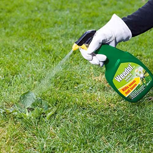 Weedol Lawn Weedkiller Spray, 800 ml – 2