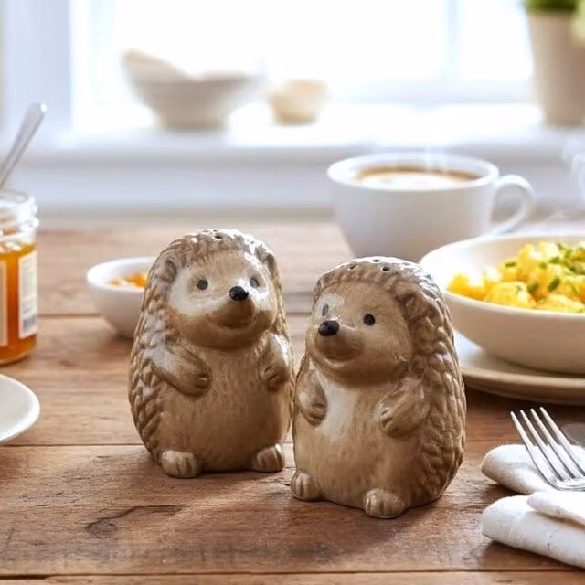 Animal Crackers Hedgehog Ceramic Salt and Pepper Shaker Set in Brown