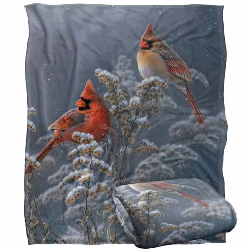 JQ Licensing Winter Cardinals Silky Touch Super Soft Fleece Throw Blanket in White, W: 152 cm, D: 127 cm
