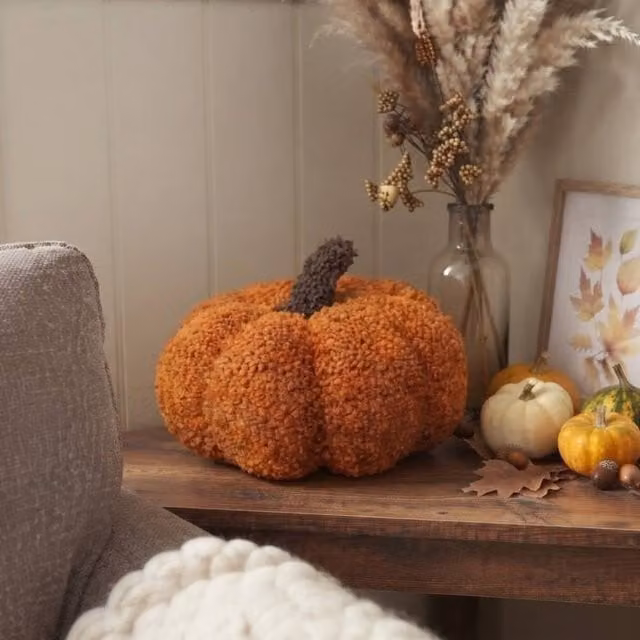 Garden Greatness Orange Textured Pumpkin Shaped Cushion in Burnt Orange
