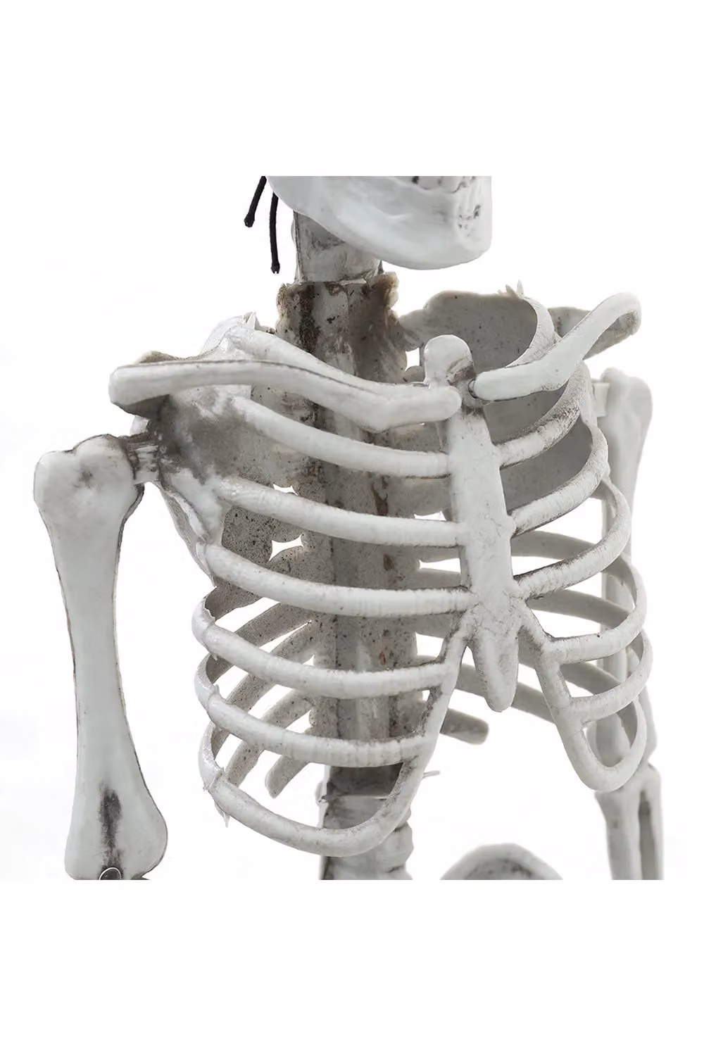 Living and Home White Poseable Skeleton Halloween Decoration, 40 cm – 3