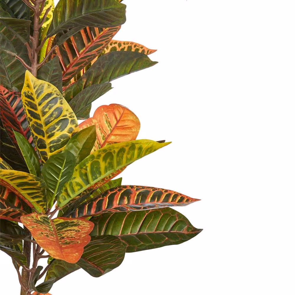 Wyld and Coco 140cm Faux Croton Plant in a Concrete Pot with Green and Black Leaves – 3