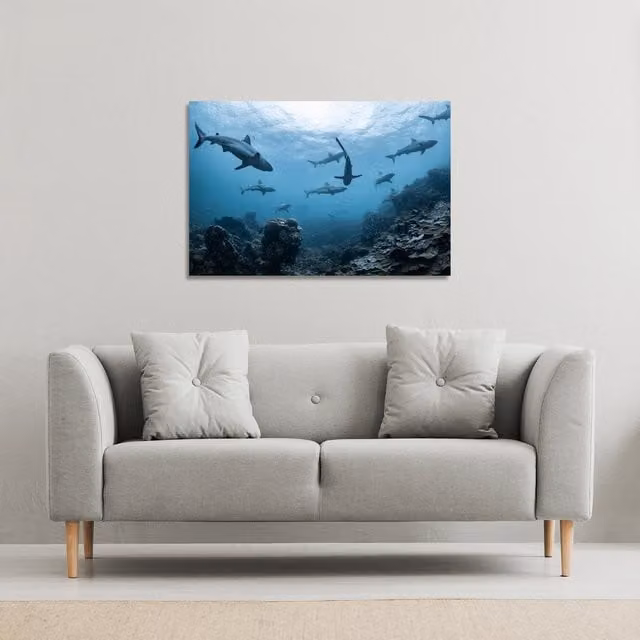 Benjamin Tate Design LTD Schooling Grey Reef Sharks Ningaloo Reef Canvas Print, Blue, W: 114 cm, H: 77 cm