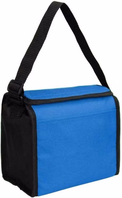 Derby Of Sweden Plain Cooler Bag in Blue