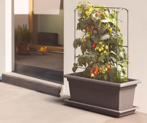 Gardenico Magnus Self-Watering Mobile Living Wall Planter Trough in Stone Grey, W79 x D38 x H39 cm – 3
