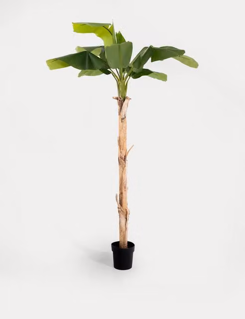 Blooming Artificial 6ft Musa Banana Tree in Green Pot