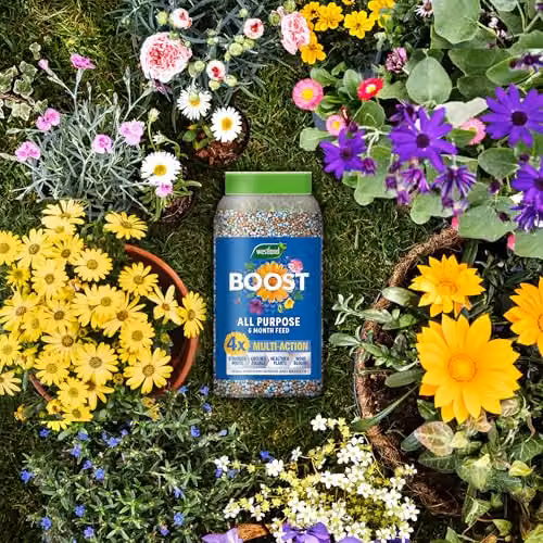 Westland Boost Slow Release Plant Food and Tonic, 750g – 2
