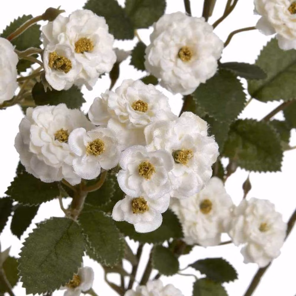Lemon Pavilion Wild Meadow Rose Artificial Flower, White, W15 x D15 x H74 cm – 3