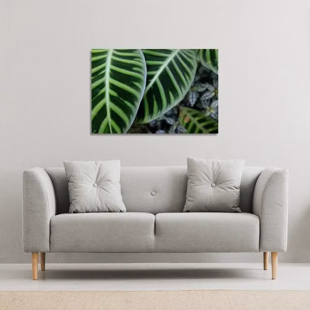 Benjamin Tate Design LTD Yellow Structure in Exotic Jungle Canvas Print, Green, W: 152 cm, H: 101 cm