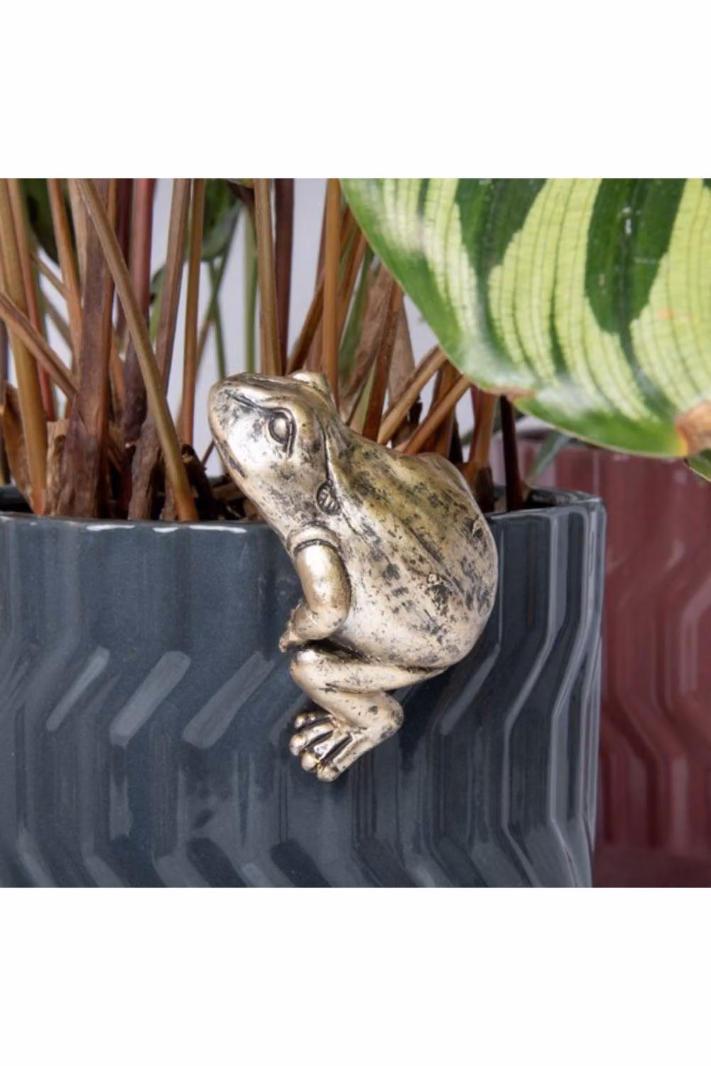 KDMD Plant Pot Pals Frog 2 Pack in Bronze – 2