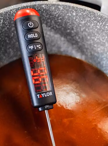 Taylor Pro Digital Food Thermometer Probe with LED Display in Black, Length: 24.5 cm – 6