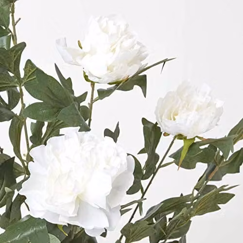 Homescapes Artificial Peony Tree in Black Pot, Cream, Height: 100 cm – 3