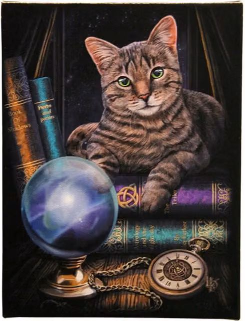 Lisa Parker Fortune Teller Canvas Plaque, Blue and Multicolour, W: 19 cm, H: 25 cm