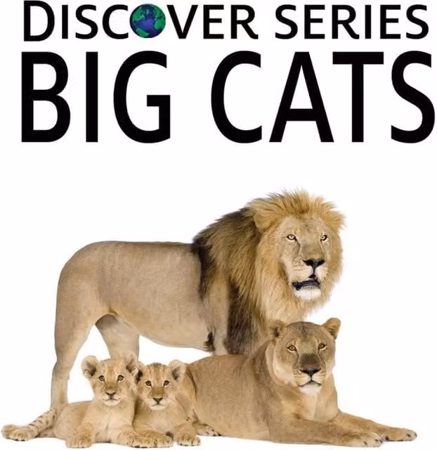 Xist Publishing Big Cats Hardcover Multicolour Book