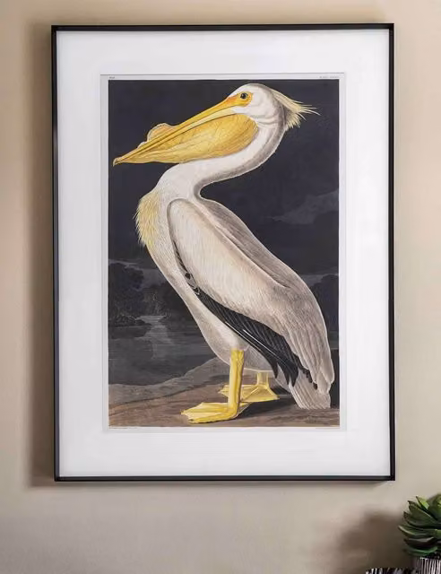 Gallery Direct Pellicano Vintage Bird Paper Poster in a Rectangular Wood and Glass Frame, White and Black