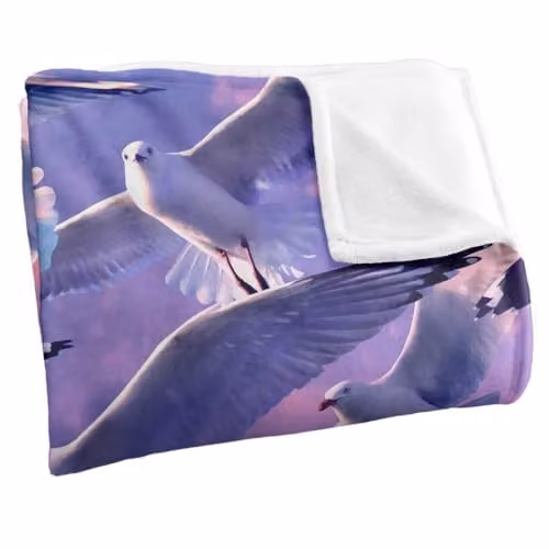 JQ Licensing Royce Mcclure Evening Seagulls Super Soft Fleece Throw Blanket, White, W/D/H: 152 x 127 cm – 2