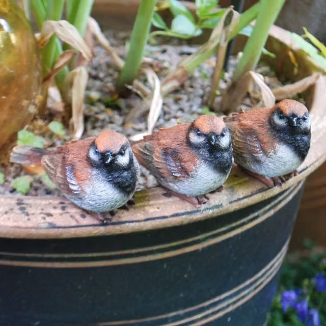 Farmwood Set of 3 Brown Sparrow Bird Garden Ornaments