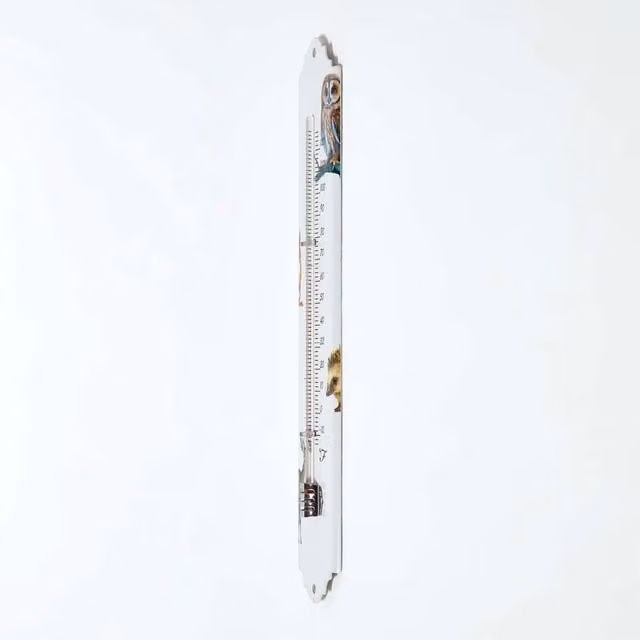 Homescapes White Rustic Outdoor Wall Thermometer with Woodland Animal Design