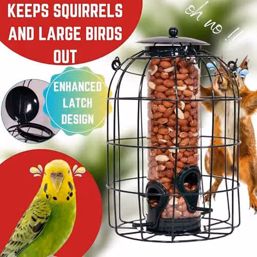 Samuel ALEXANDER Pack of 5 Green Metal Mesh Wild Bird Seed Feeder Cages with Squirrel Guard – 6