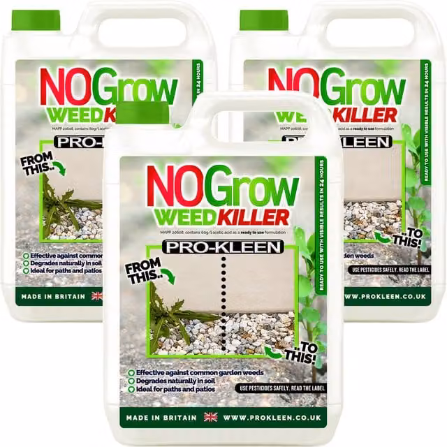 Pro-Kleen Non-Glyphosate Weed Remover Spray, Green, 500 ml