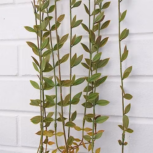 Leaf Green Artificial Hanging String of Pearls Plant – 4