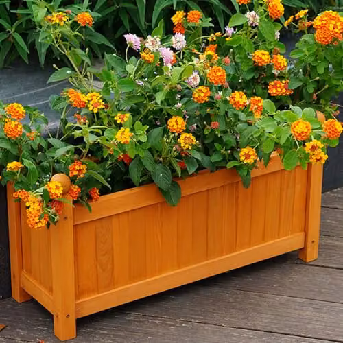 Gr8 Garden Wooden Rectangular Planter in Brown, W/D/H: 60.0 x 34.0 x 20.0 cm – 5