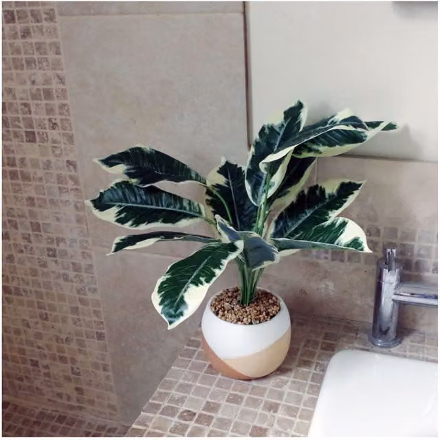 Dyzi 40 cm Variegated Artificial Pothos Plant in a Round Hand-Painted Concrete Planter, Green