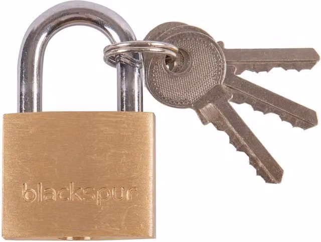 Blackspur Brass Heavy-Duty Padlock with Key in Gold
