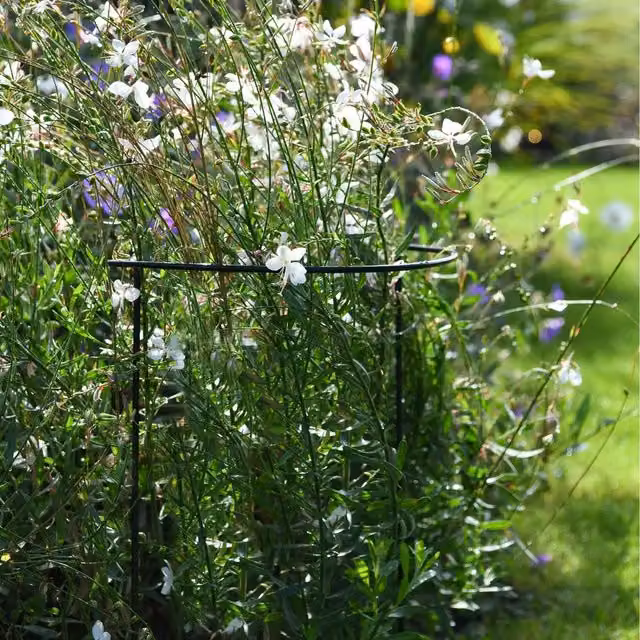 Garden Gear Metal Half Round Plant Support Frame for Outdoor Gardens, Green, Height: 60 cm