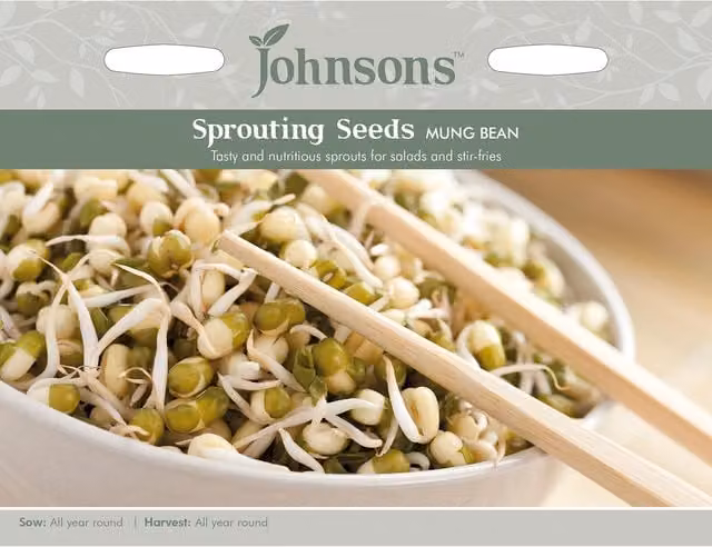 Johnsons Green Sprouting Mung Bean Vegetable Seeds
