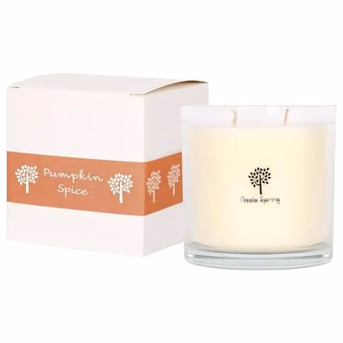 Nicola Spring Pumpkin Spice Soy Wax Scented Candle, 400g, Orange Double Wick Glass Jar Candle