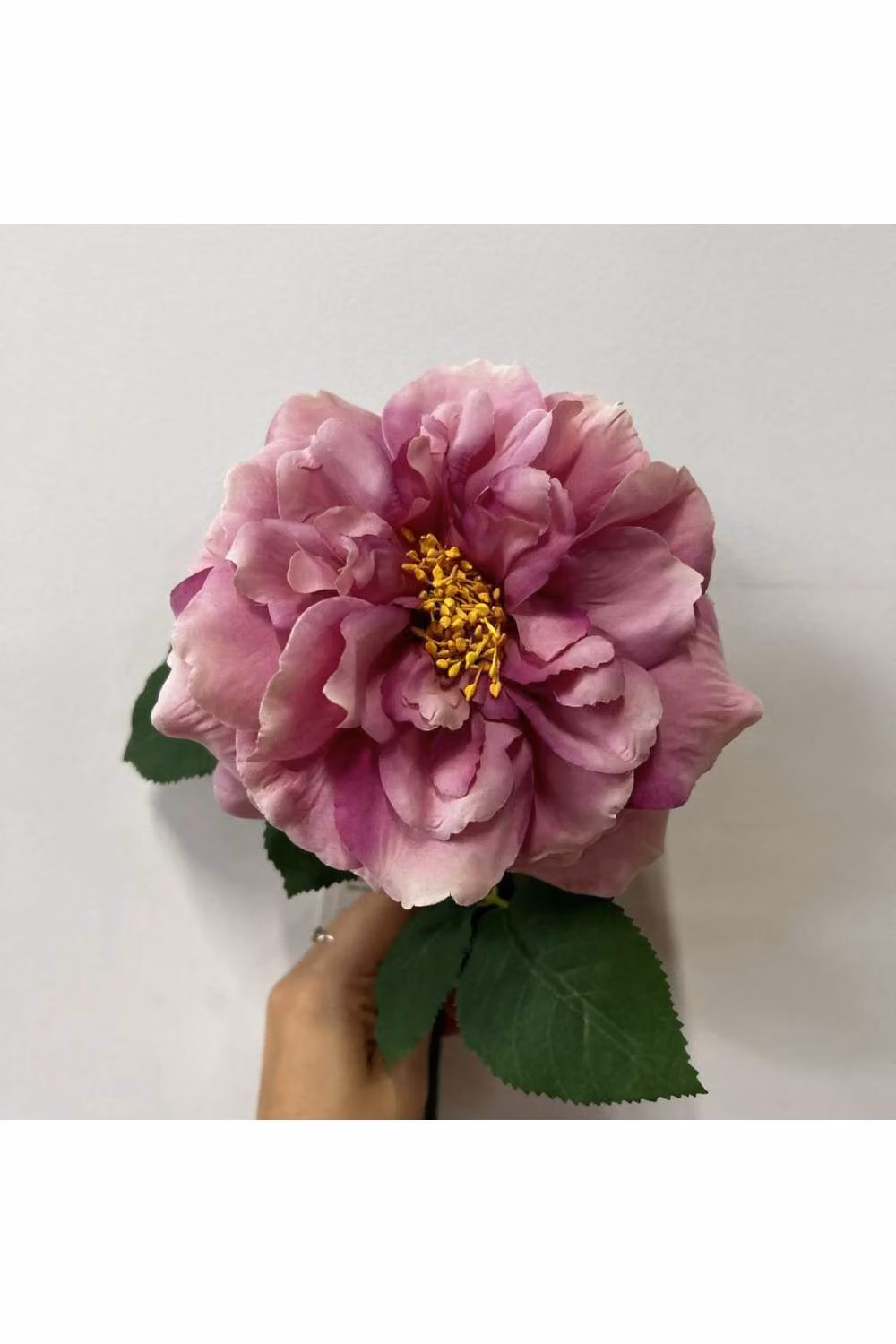 KDMD Balmoral Wild Rose Purple Floral Decoration, 2 Pack, Height: 65 cm – 2
