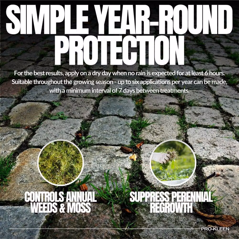 ProKleen NoGrow Moss Killer for Paths and Drives, 4 x 5L Pack, White – 6