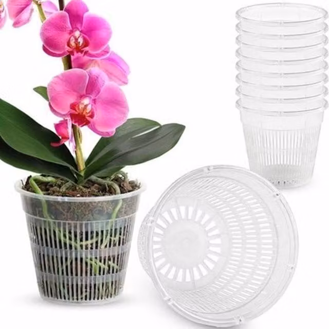 NESTLUNE Set of 10 Transparent Plastic Orchid Drainage Planters – 1