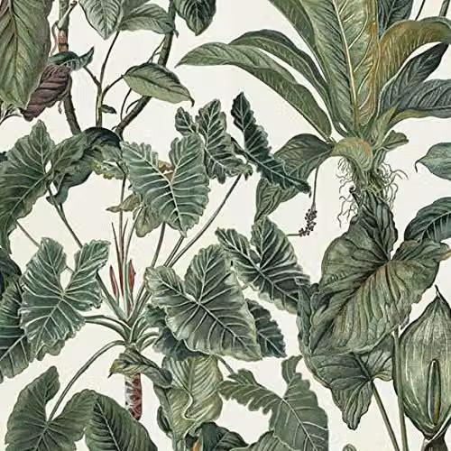 Erismann Paradiso Collection Floral Non-Woven Wallpaper, Multi-Colour, W: 0.53 m, L: 10.05 m – 3