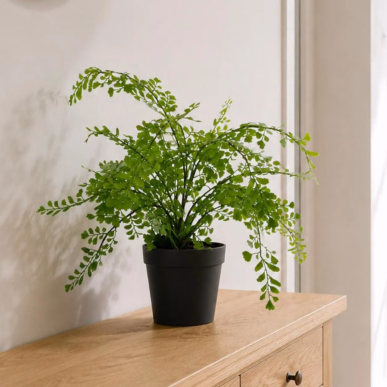 Leaf Artificial Potted Fern Plant in Green and Black, Height: 45 cm, Width: 35 cm – 5