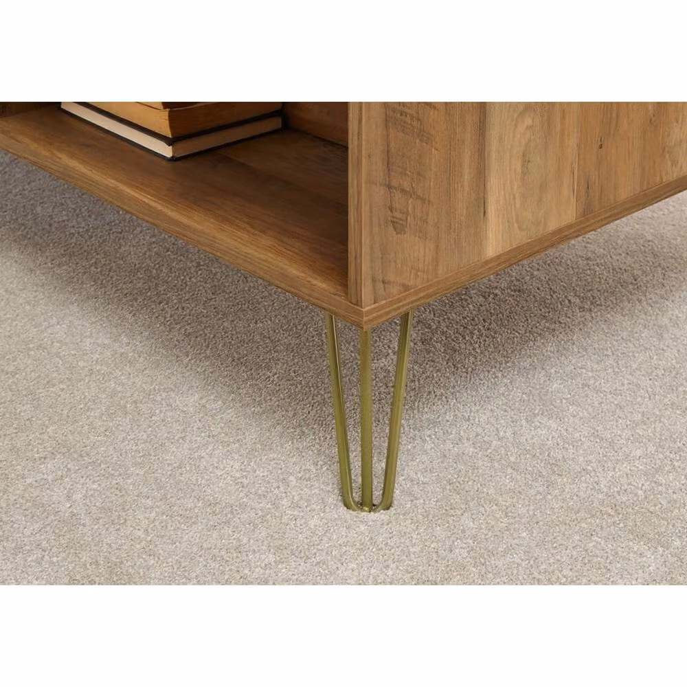 FORGEVIO Mid-Century Mango Wood Coffee Table with 2 Drawers in Brown and Gold – 3