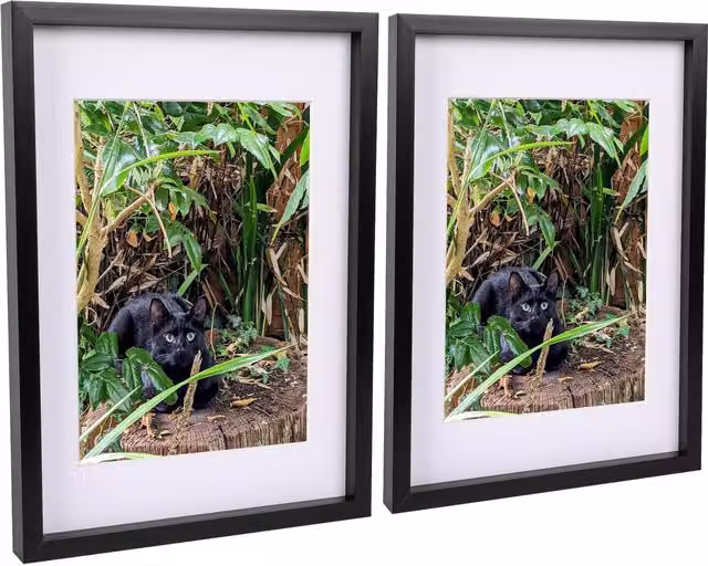 Nicola Spring Pack of 2 Rectangular 3D Box Photo Frames with A4 Mounts in Black and White