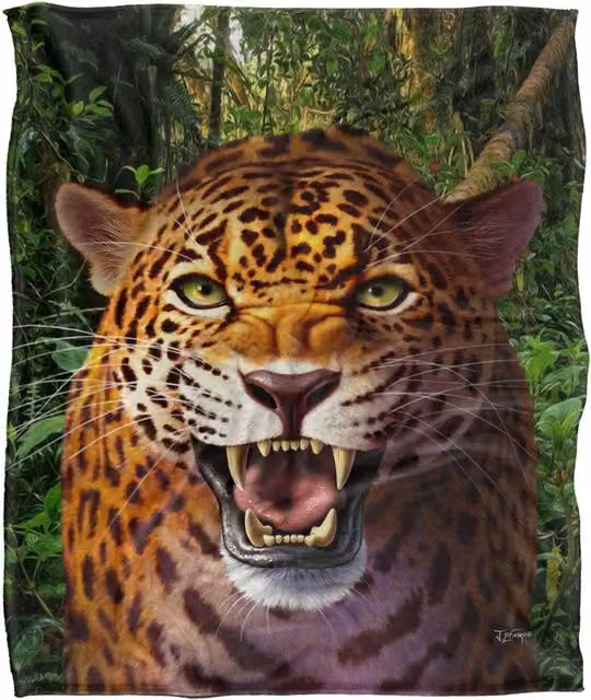JQ Licensing JLo Leopard Hunting Silky Touch Super Soft Fleece Throw Blanket, White and Multicolour, W/D/H: 152 x 127 cm – 6