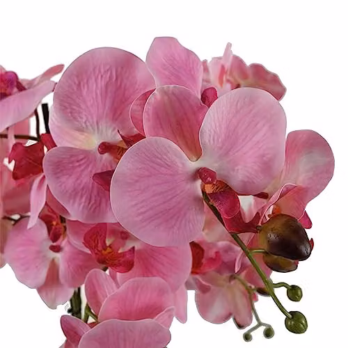 Leaf Design UK Pink Artificial Orchid with Glass Planter, Height: 50 cm – 2