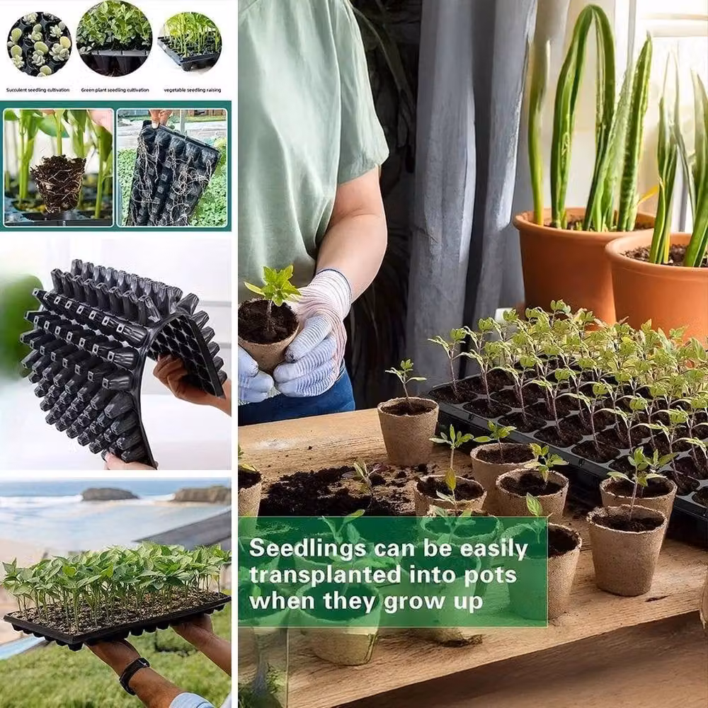 Kelvenix 72 Cell Root Trainer Tree Tray Planter in Black – 4