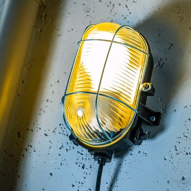CGC Lighting GINA Black Oval Metal Cage Bulkhead Wall or Ceiling Light