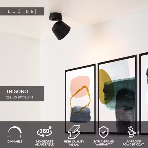 Lucide Trigono Dimmable Adjustable Ceiling Spotlight in Black, Diameter: 10.5 cm – 2