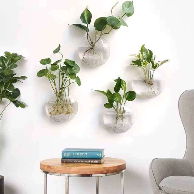 Set of 4 Lifeideas Round Wall-mounted Glass Vases in Transparent and White, H 15 cm x W 15 cm x D 15 cm